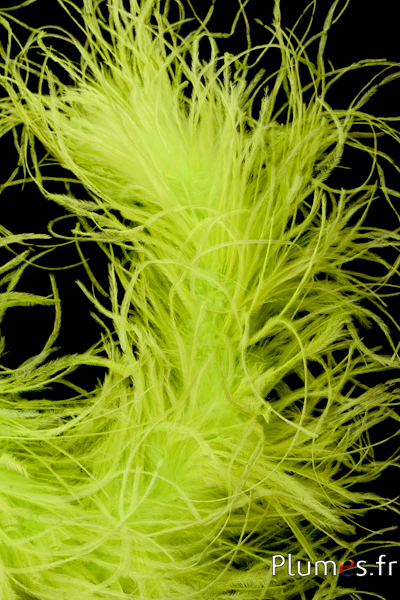 Autruche mèche  - 10 cm - vert vif